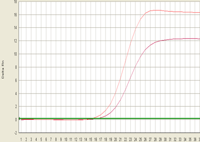2X qPCR Master mix figure1