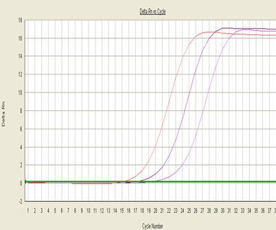 2X qPCR Master mix figure2