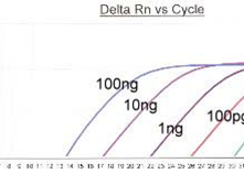 2x qRT-PCR Master mix